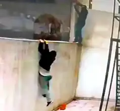 Esenyurt'ta 250 Bin TL'lik Hırsızlık!